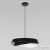 Светильник подвесной LOFT IT Petale 10256P Black, раздел каталога Подвесы 1 лампа интернет-магазина Ночи Нет