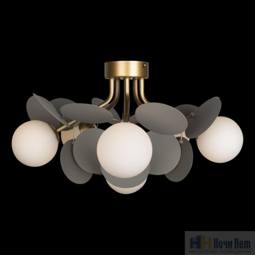 Люстра Loft IT Matisse 10008/6C Grey, раздел каталога Люстры с плафонами интернет-магазина Ночи Нет