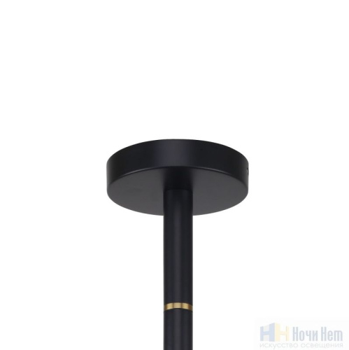 Люстра Favourite Eternity 2766-6P, раздел каталога Люстры с плафонами интернет-магазина Ночи Нет