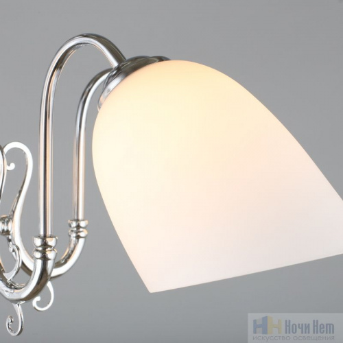 Люстра Omnilux Leonessa OML-29107-05, раздел каталога Люстры с плафонами интернет-магазина Ночи Нет