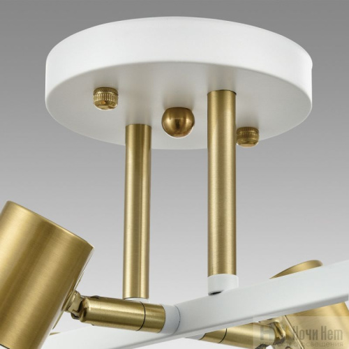 Люстра Lumion Anriya 8045/6C, раздел каталога Люстры с плафонами интернет-магазина Ночи Нет