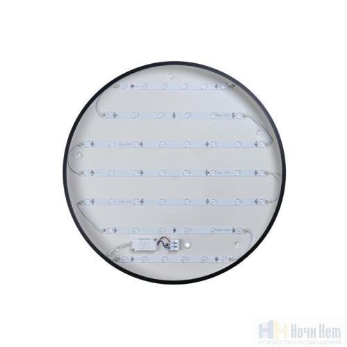 Светильник потолочный Loft IT Axel 10002/48 Black, раздел каталога Круглые современные светильники интернет-магазина Ночи Нет