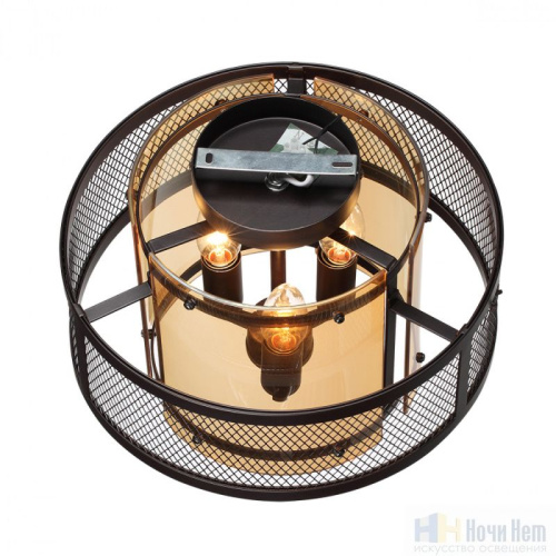 Люстра Lumion Zarina 8007/3C, раздел каталога Люстры с плафонами интернет-магазина Ночи Нет