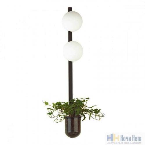 Бра Odeon Light Flower 4681/2WA, раздел каталога Бра с плафоном интернет-магазина Ночи Нет