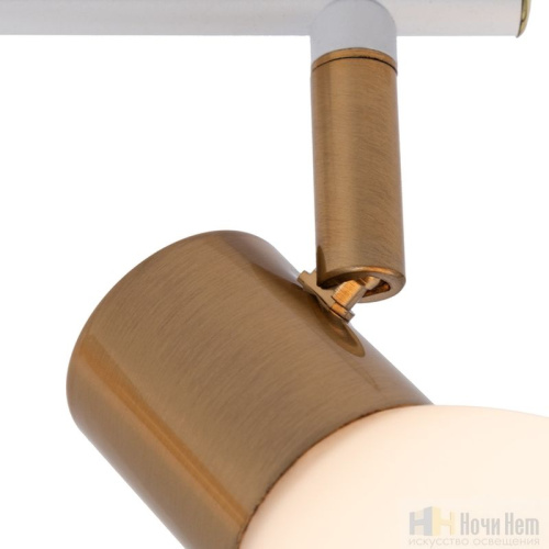 Спот Arte Lamp Falena A3117PL-2WH, раздел каталога Споты интернет-магазина Ночи Нет