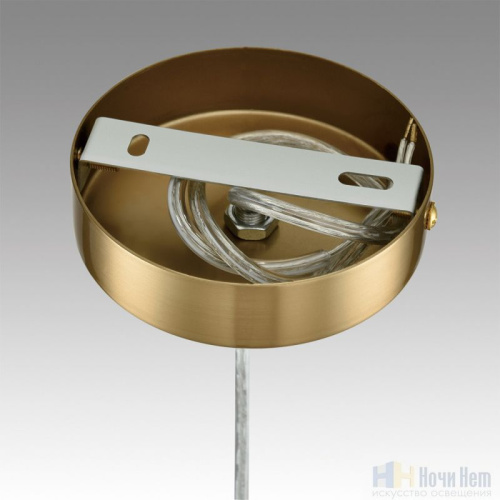 Светильник подвесной Lumion Jane 6592/1, раздел каталога Подвесы 1 лампа интернет-магазина Ночи Нет