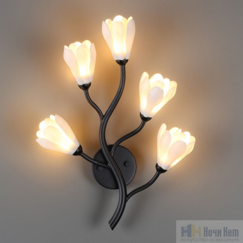 Бра Odeon Light Gardi 5090/5W, раздел каталога Бра с плафоном интернет-магазина Ночи Нет