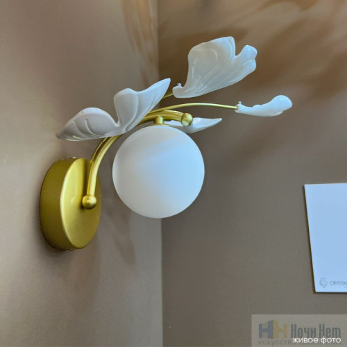 Бра Crystal Lux COLIBRI AP1 GOLD 0141/401, раздел каталога Бра с плафоном интернет-магазина Ночи Нет