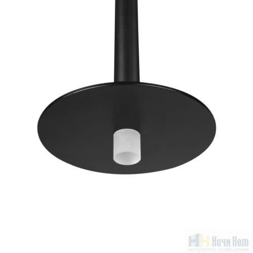 Светильник подвесной LOFT IT Reed 10358/830 Disk, раздел каталога Подвесы 1 лампа интернет-магазина Ночи Нет