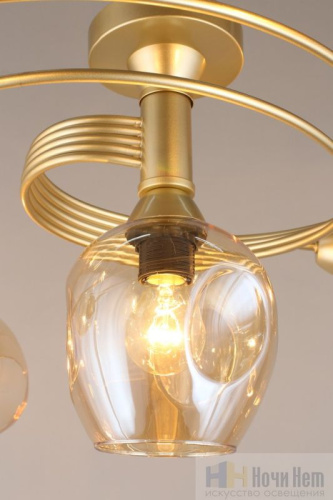 Люстра Aployt Flor APL.611.07.06, раздел каталога Люстры с плафонами интернет-магазина Ночи Нет