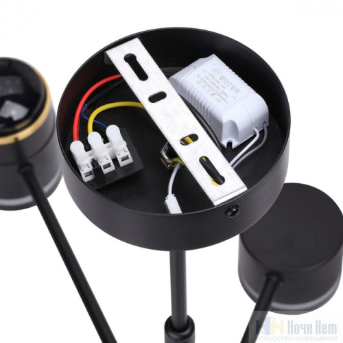 Люстра Lumion Virsava 8234/8C, раздел каталога Люстры с плафонами интернет-магазина Ночи Нет