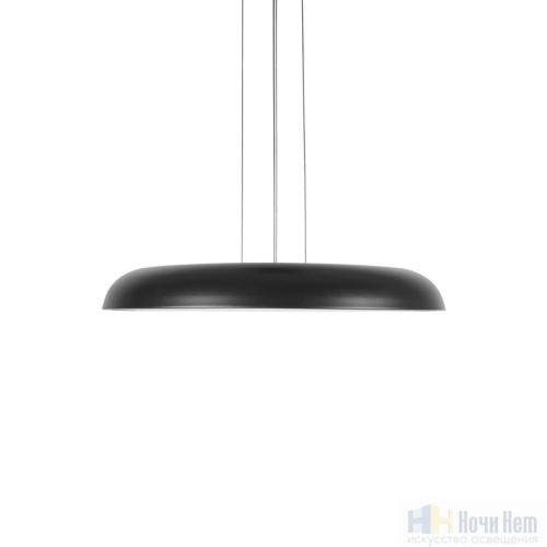 Светильник подвесной LOFT IT Dime 10371P Black, раздел каталога Подвесы 1 лампа интернет-магазина Ночи Нет