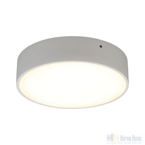 Светильник накладной Aployt Evon APL.0113.09.18, раздел каталога Накладные точечные светильники интернет-магазина Ночи Нет