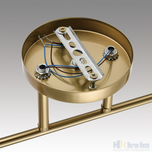 Люстра Lumion Vivian 8188/2C, раздел каталога Люстры с плафонами интернет-магазина Ночи Нет