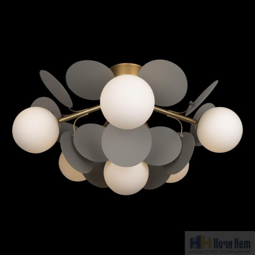 Люстра Loft IT Matisse 10008/6C Grey, раздел каталога Люстры с плафонами интернет-магазина Ночи Нет