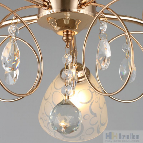 Люстра Omnilux Castellaro OML-29007-05, раздел каталога Люстры с плафонами интернет-магазина Ночи Нет