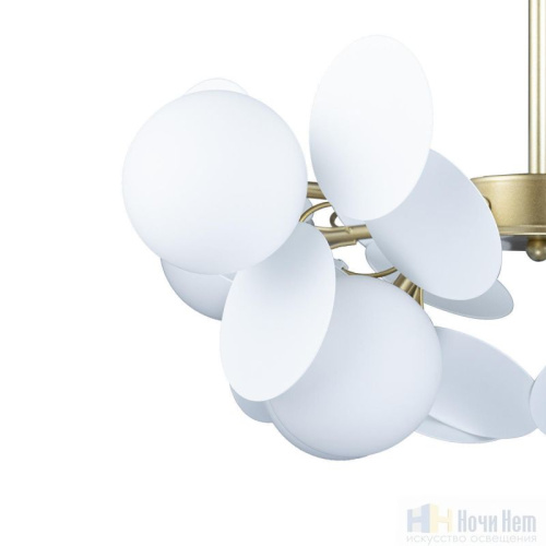 Люстра Loft IT Matisse 10008/8 white, раздел каталога Люстры с плафонами интернет-магазина Ночи Нет