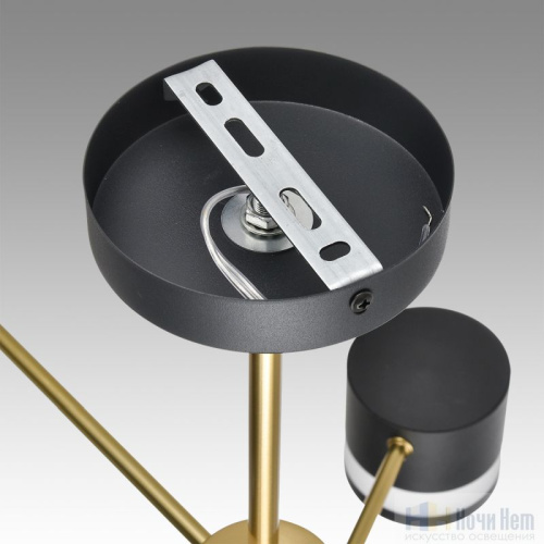 Люстра Lumion Lanika 8240/6C, раздел каталога Люстры с плафонами интернет-магазина Ночи Нет