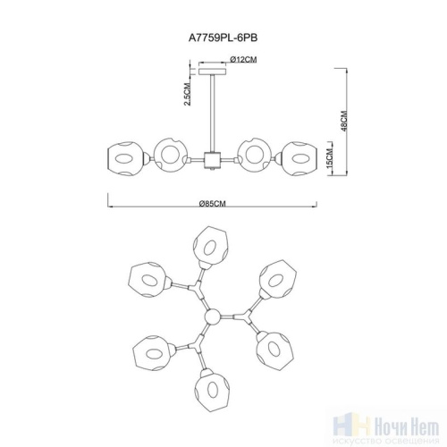 Люстра Arte Lamp Yuka A7759PL-6PB, раздел каталога Люстры с плафонами интернет-магазина Ночи Нет